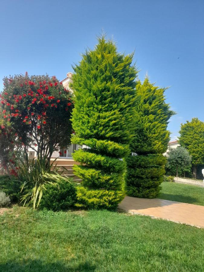 Khalkoutsion Beautiful Summer Villa In Chalkoutsi מראה חיצוני תמונה