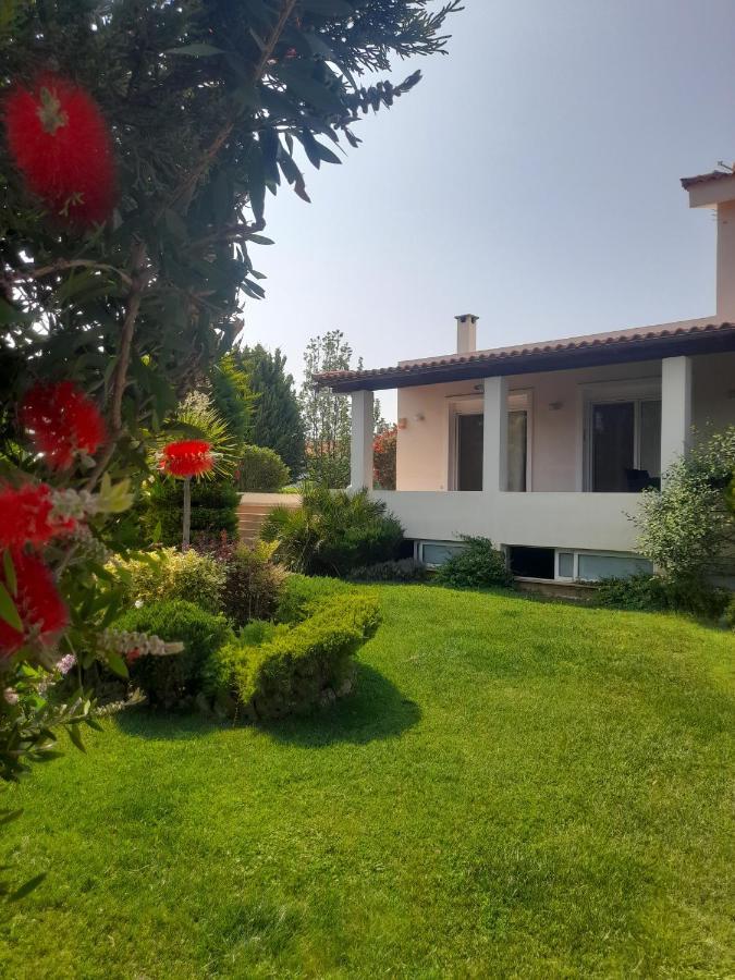 Khalkoutsion Beautiful Summer Villa In Chalkoutsi מראה חיצוני תמונה