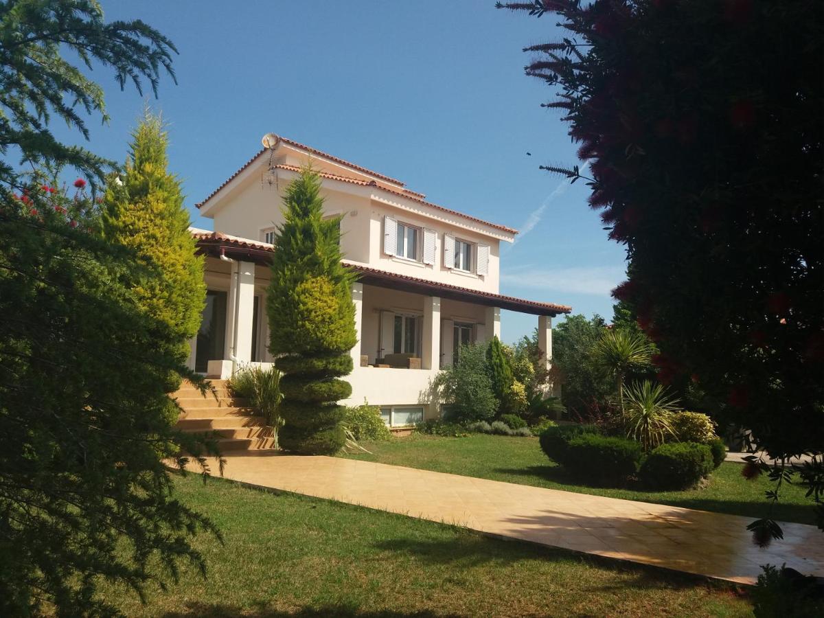 Khalkoutsion Beautiful Summer Villa In Chalkoutsi מראה חיצוני תמונה