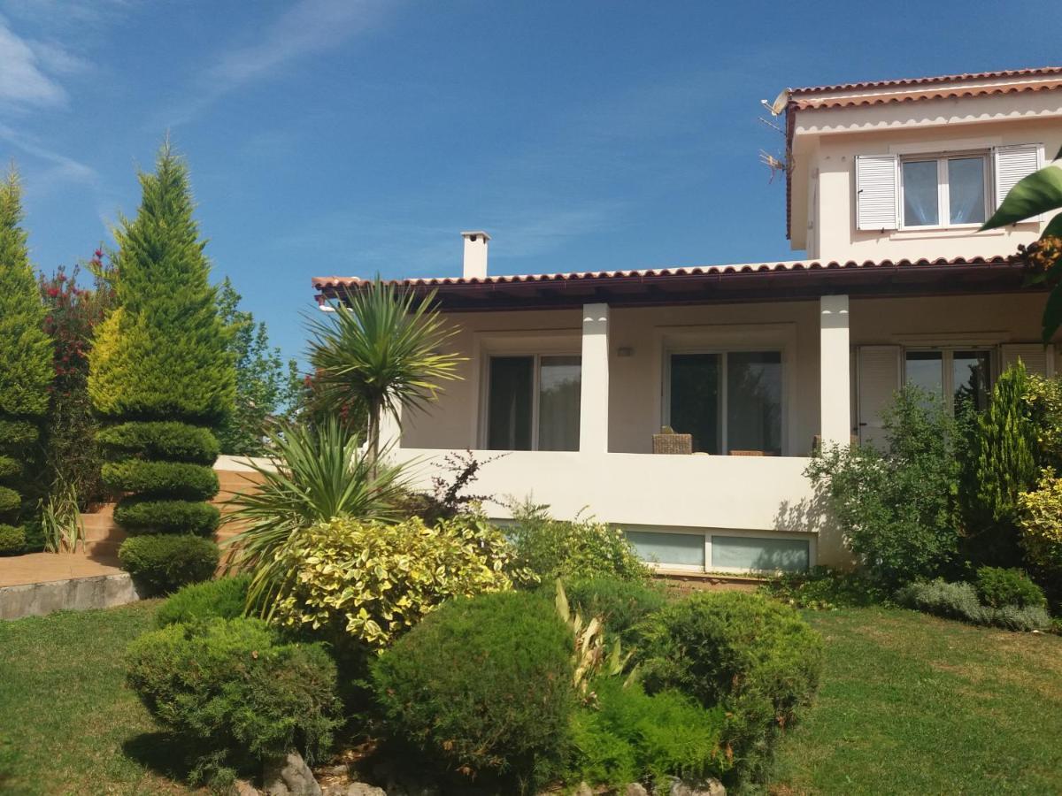 Khalkoutsion Beautiful Summer Villa In Chalkoutsi מראה חיצוני תמונה